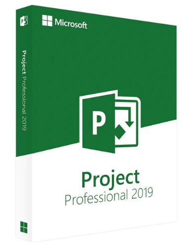 Microsoft Project Professional 2019-SW1160